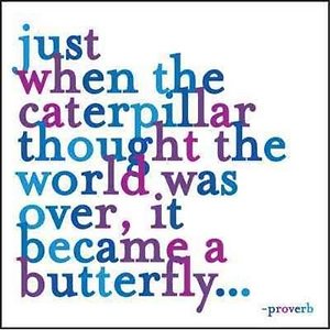 About Me. Caterpillar